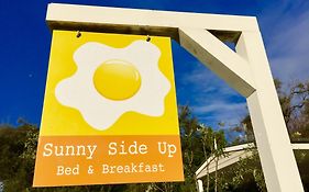 Sunny Side Up B&B Rye